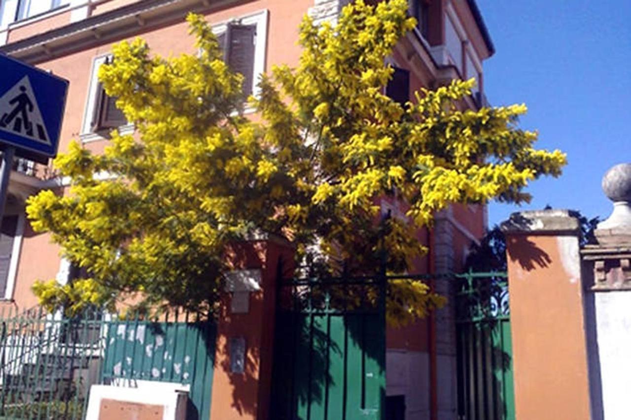 Garden Flat By Vatican Walls Rzym Zewnętrze zdjęcie